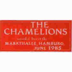The Chameleons : The Chamelions